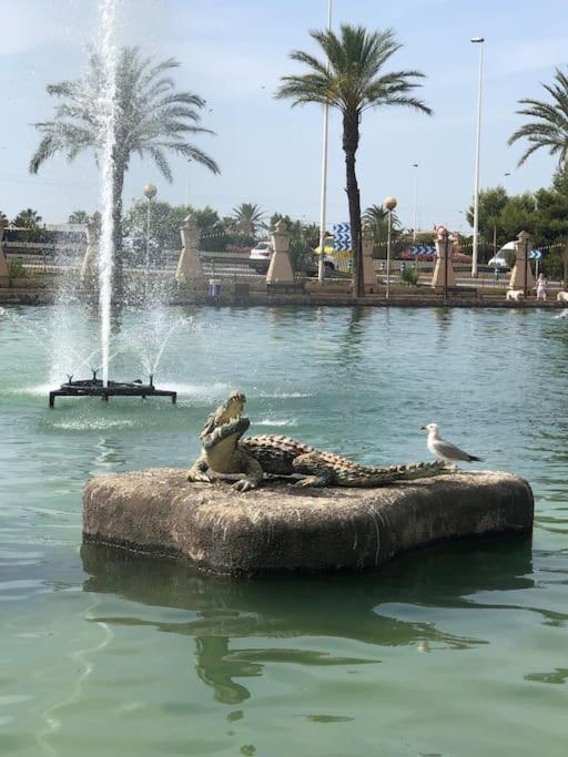 Nice Apartment Near The Park Torrevieja Esterno foto
